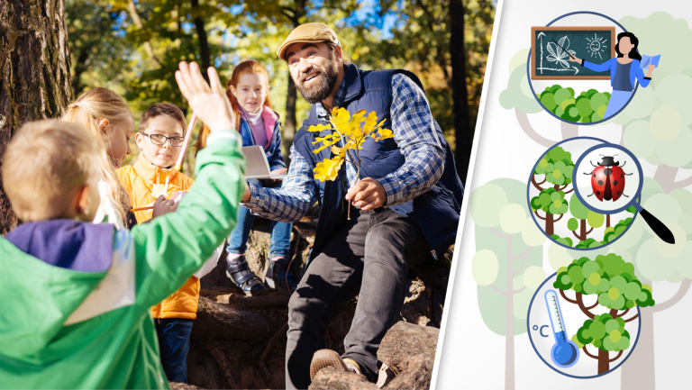 Franke und Bornberg Mini-Wald Grünes Klassenzimmer Franke und Bornberg Mini-Wald Grünes Klassenzimmer