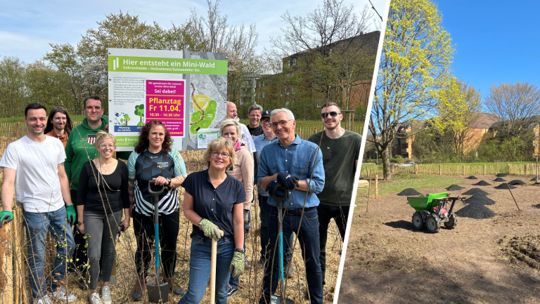 Franke und Bornberg Pilot-Wald Vahrenheide-Sahlkamp Franke und Bornberg Pilot-Wald Vahrenheide-Sahlkamp