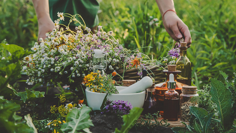 Ein Garten mit Kräutern und Heilmitteln